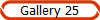 Gallery 25
